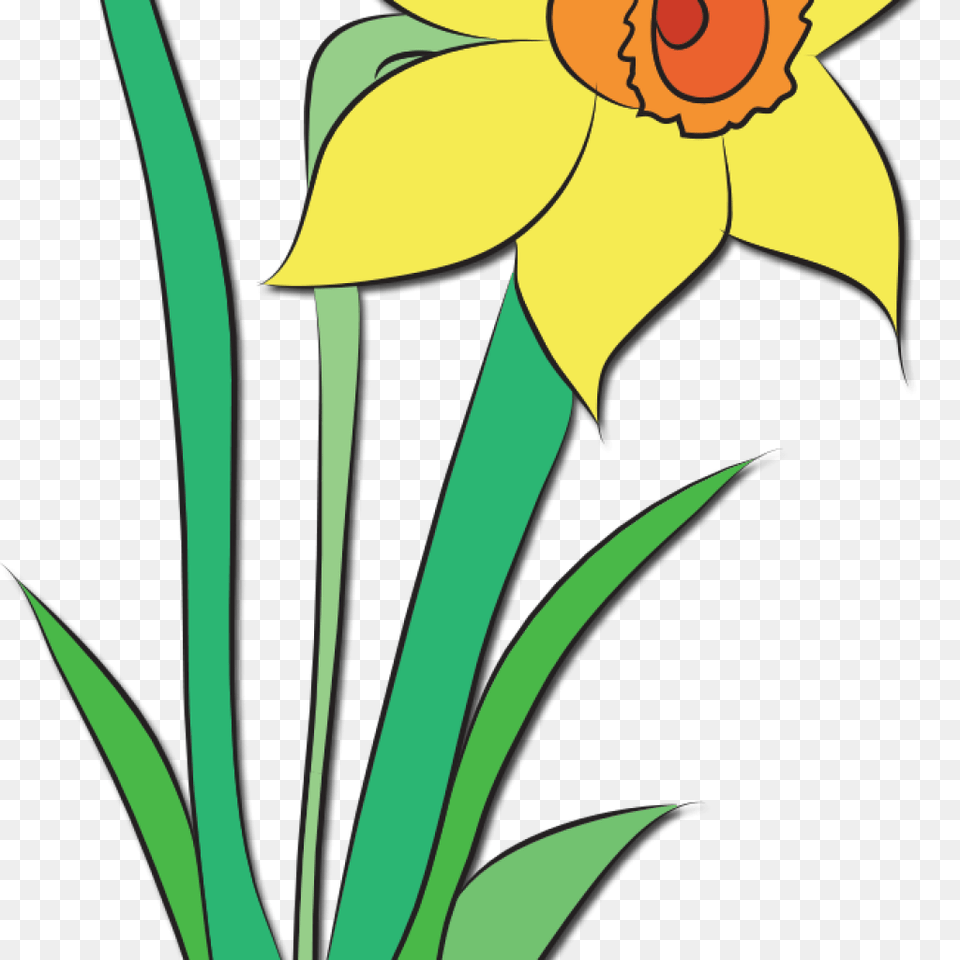 Clipart Grass And Flowers May Clip Art New Year, Daffodil, Flower, Plant, Person Png Image