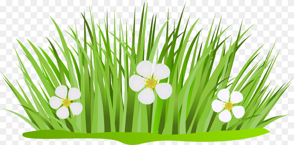 Clipart Grass Animated Clipart Grass And Flowers, Art, Plant, Graphics, Green Free Transparent Png
