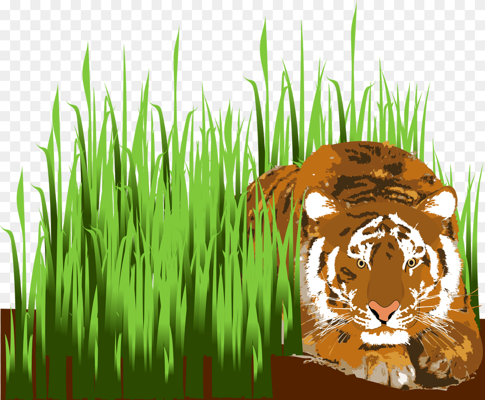 Clipart Grass Cartoon Tiger In Grass Clipart, Plant, Animal, Lion, Mammal Png Image
