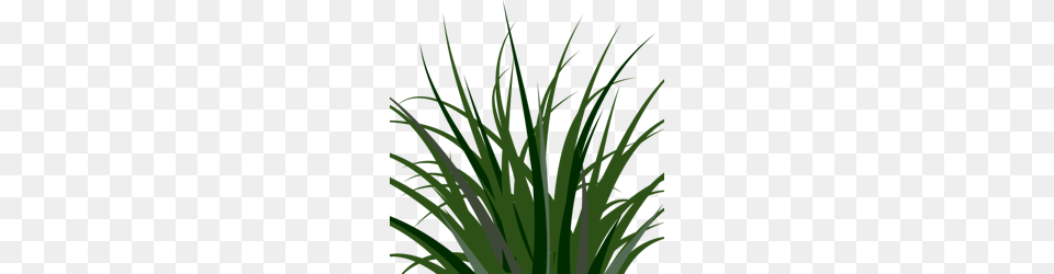 Clipart Grass Clumps Clip Art, Green, Plant, Vegetation, Agavaceae Free Png
