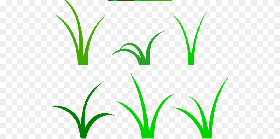 Clipart Grass Vector, Green, Plant, Art, Floral Design Free Png