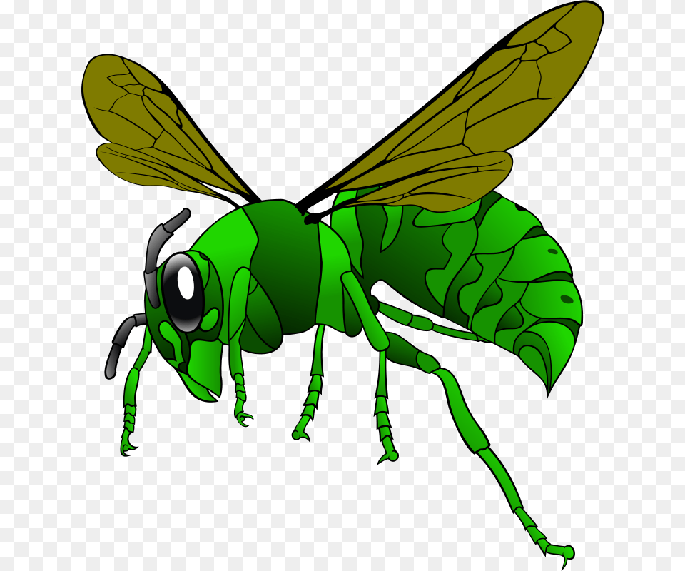 Clipart Green Hornet Mabroox, Animal, Bee, Insect, Invertebrate Free Transparent Png