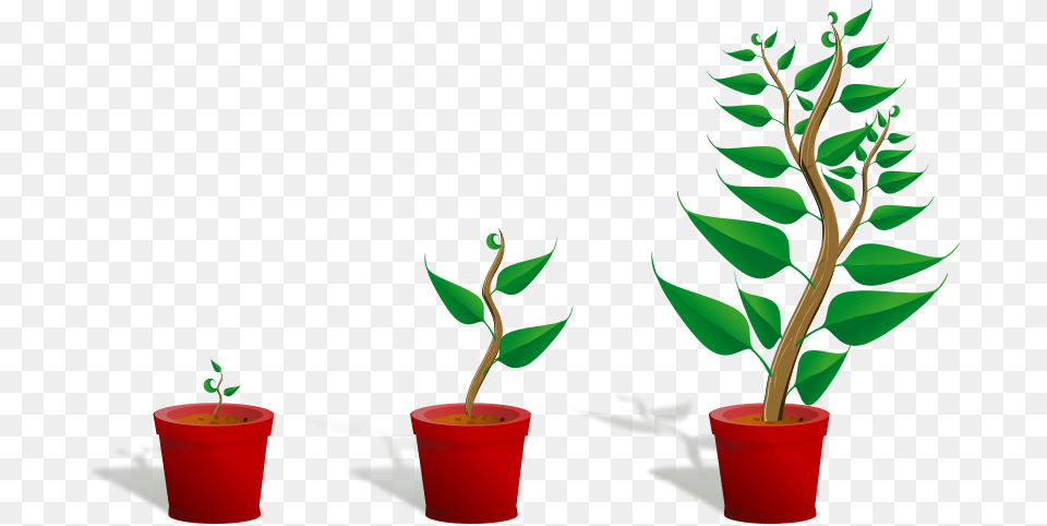Clipart Green Plant In Its Pot In Three Different Phases, Leaf, Potted Plant, Tree, Cookware Png