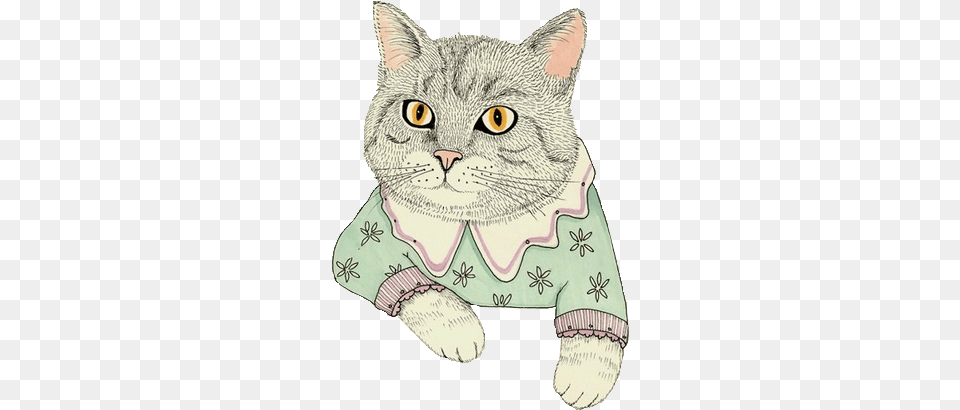 Clipart Grumpy Kitten Cat Cat Tumblr, Art, Drawing, Animal, Pet Png