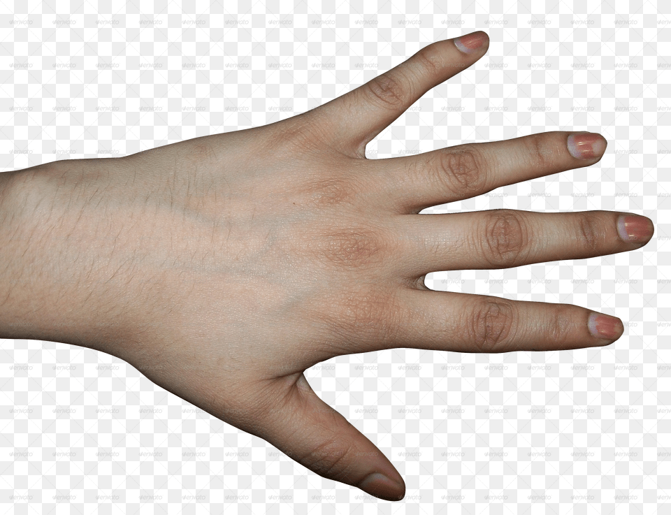 Clipart Hand Human Hand Back Of Human Hand, Body Part, Finger, Person, Wrist Png