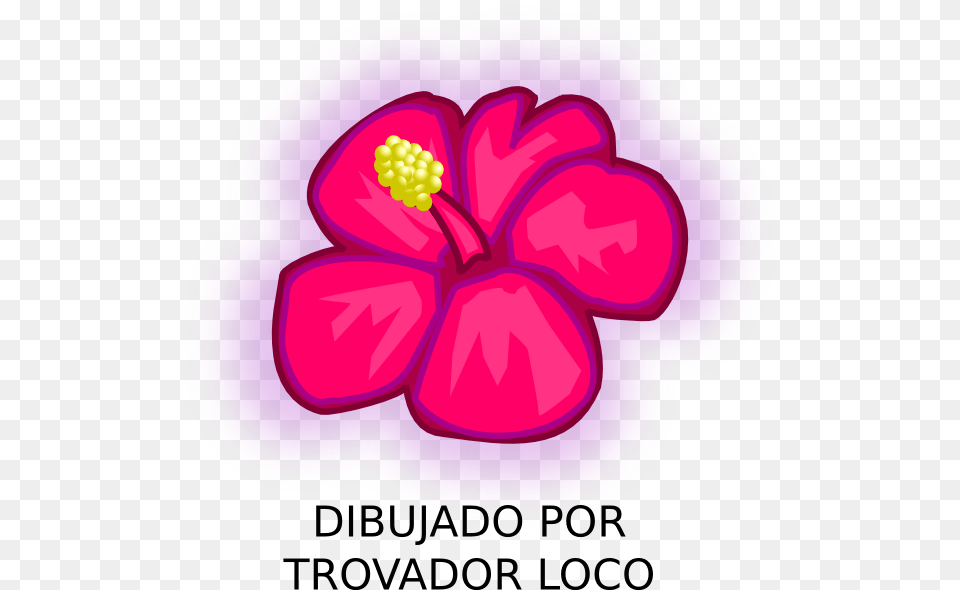 Clipart Hawaii Flower, Plant, Purple, Food, Hibiscus Free Png Download