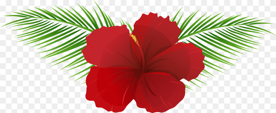 Clipart Hawaiian Flower, Hibiscus, Plant Png
