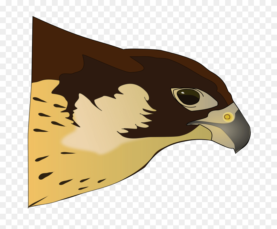 Clipart Hawk Antroares, Animal, Beak, Bird, Fish Free Png Download