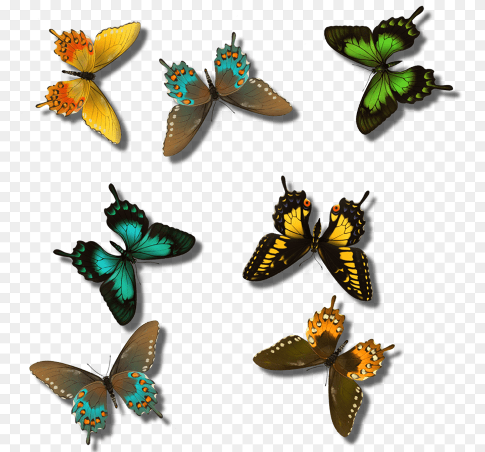 Clipart Hd Blogging Swallowtail Butterfly, Animal, Bird, Insect, Invertebrate Png Image