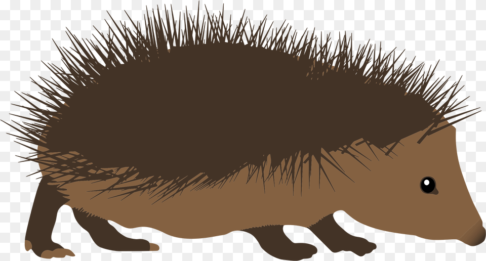 Clipart Hedgehog Spiky Hedgehog Clipart, Animal, Mammal, Porcupine, Rodent Free Png
