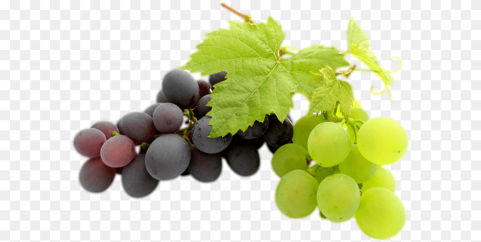 Clipart Image Grapes Background, Food, Fruit, Plant, Produce Free Transparent Png