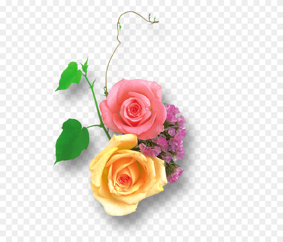 Clipart Image Light Yellow Portable Network Graphics, Flower, Flower Arrangement, Flower Bouquet, Plant Png