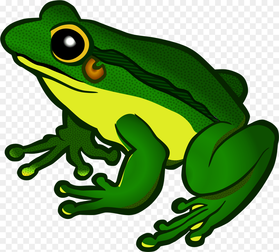 Clipart Of Frog, Amphibian, Animal, Wildlife, Tree Frog Png Image