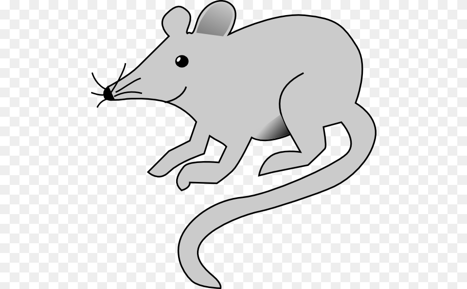 Clipart Image Of Rat, Animal, Mammal, Fish, Sea Life Free Transparent Png