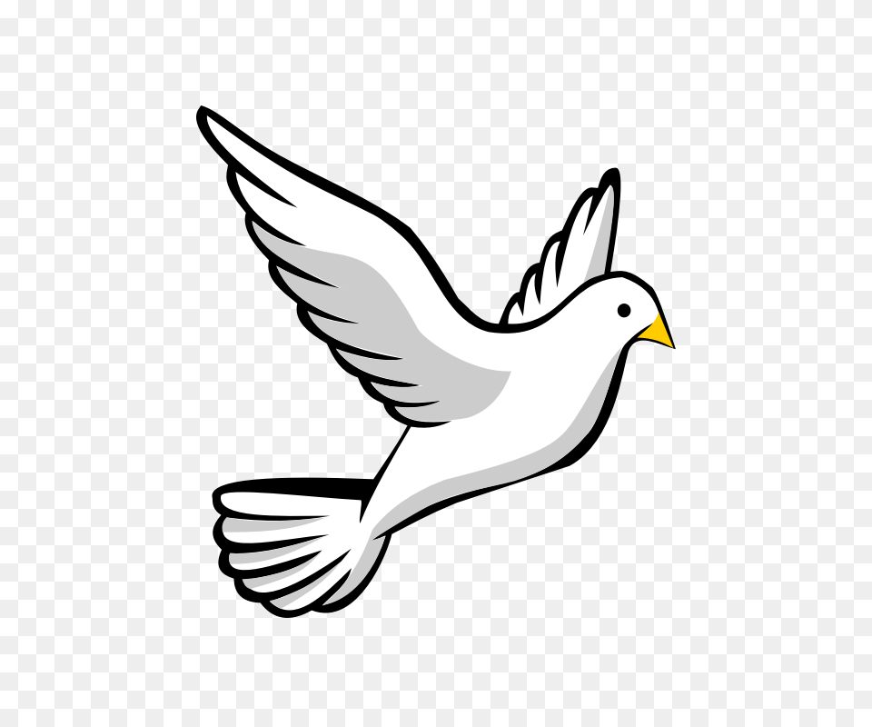 Clipart Images Of Crosses, Animal, Bird, Flying, Seagull Png