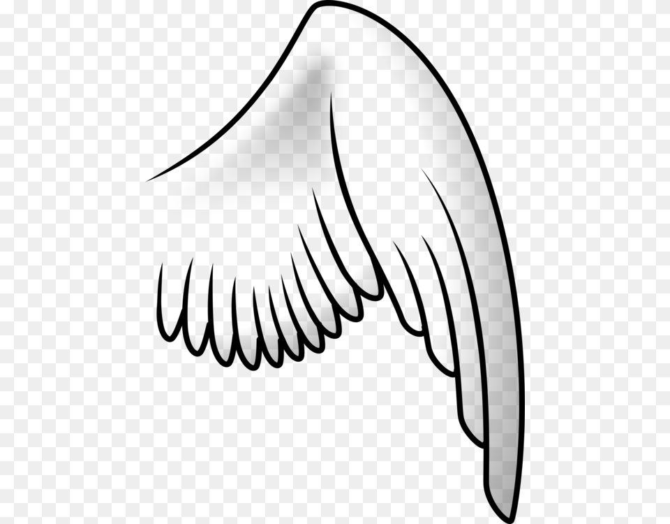 Clipart Info Clip Art Wings, Gray Png