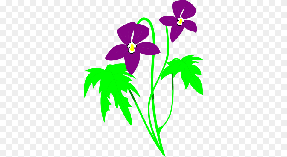 Clipart Info Flower, Plant, Purple, Geranium Png Image