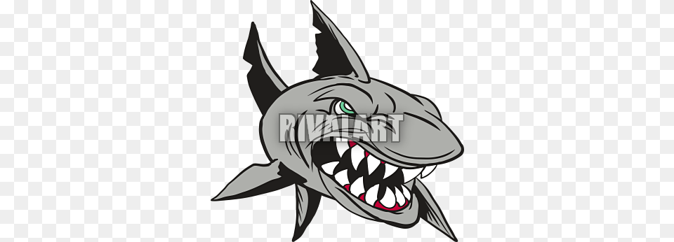 Clipart Info Sharks, Animal, Sea Life, Fish, Shark Png