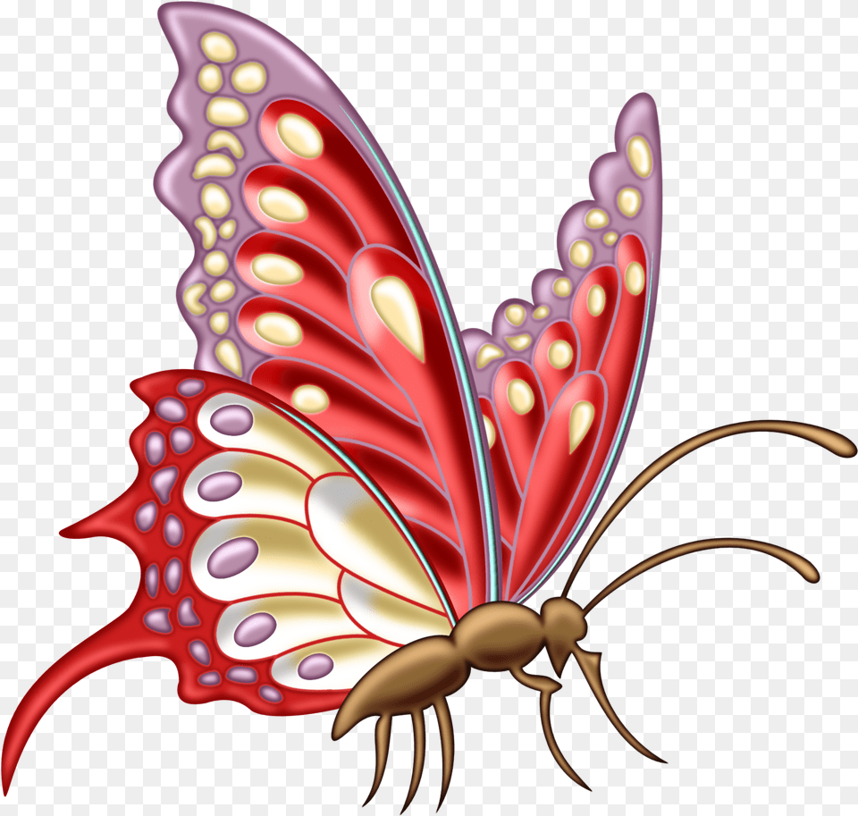 Clipart Insect Drawing Butterfly Butterfly Designs For Assignment, Animal, Pattern, Invertebrate, Graphics Png Image