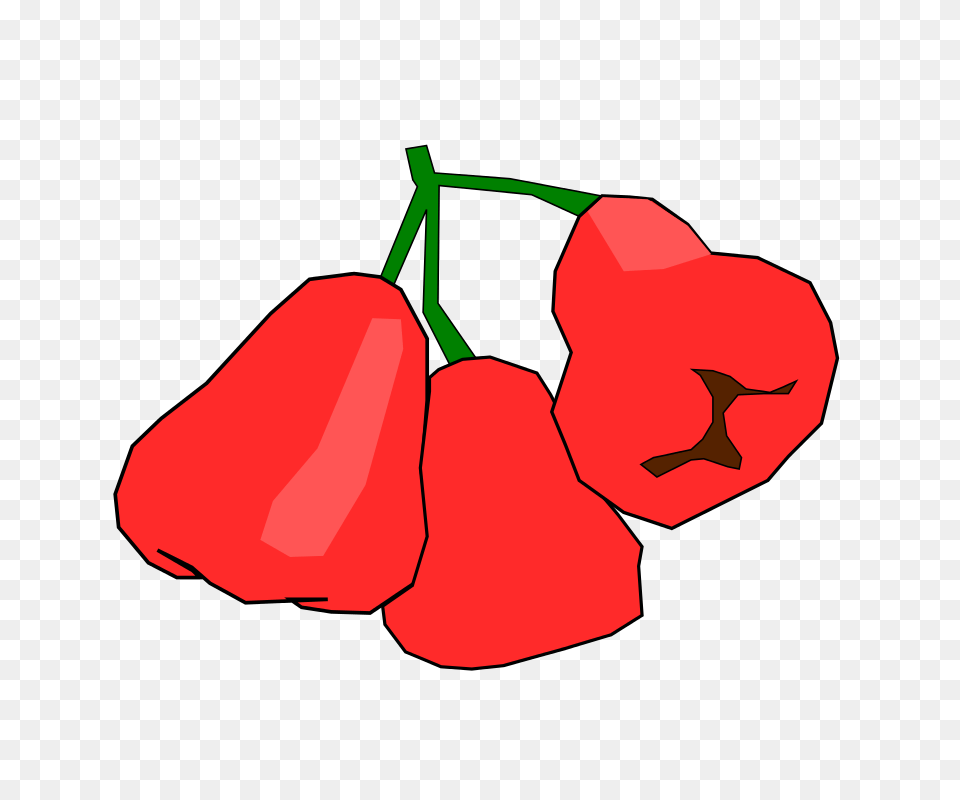 Clipart Jambu Monyet Cidcidcuid, Food, Fruit, Plant, Produce Png Image