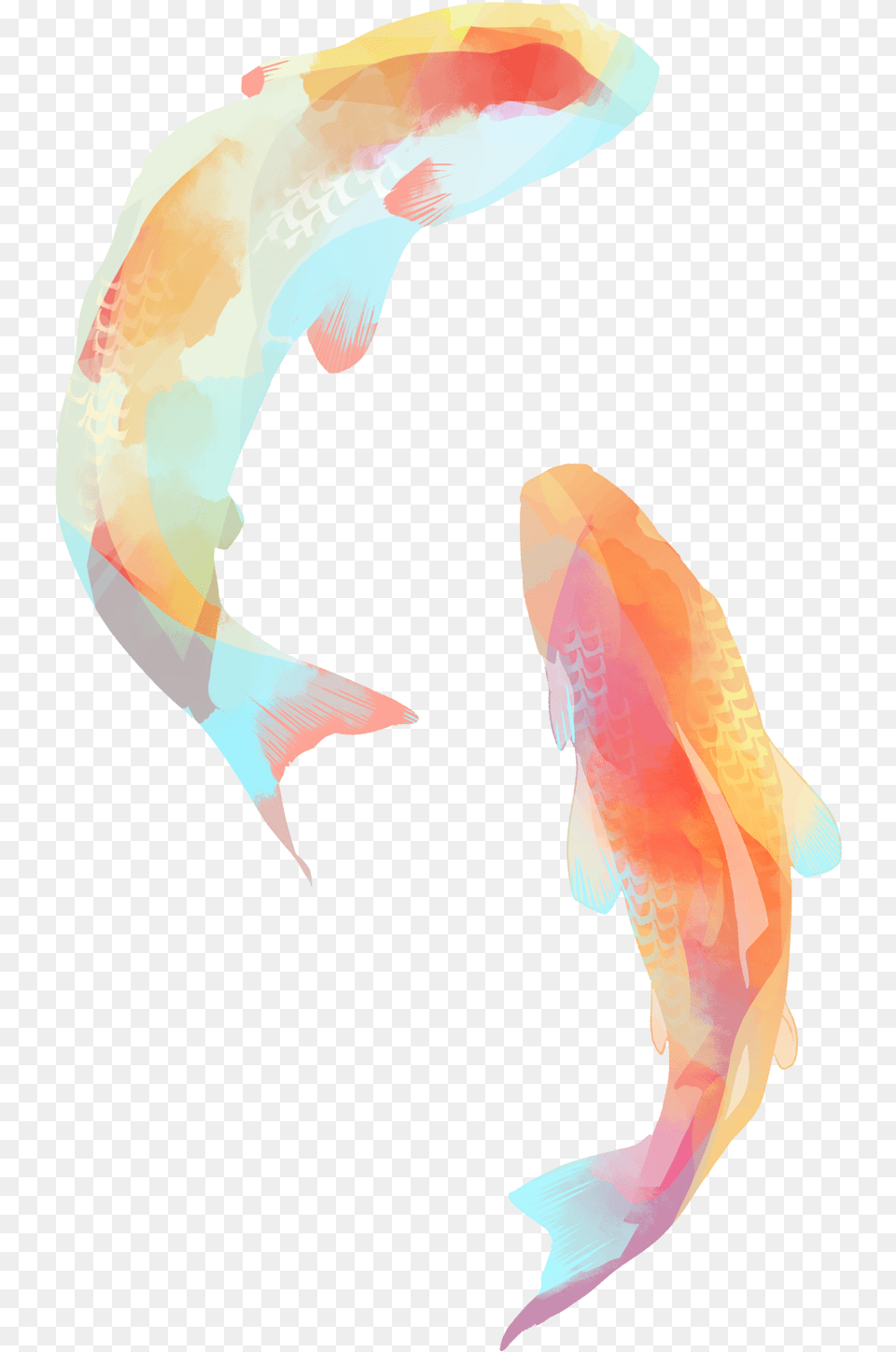 Clipart Jellyfish Clipart Watercolor Koi Fish, Animal, Sea Life, Adult, Female Png
