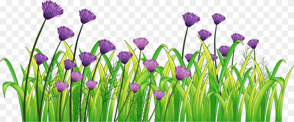 Clipart Landscape, Flower, Plant, Purple, Iris Png