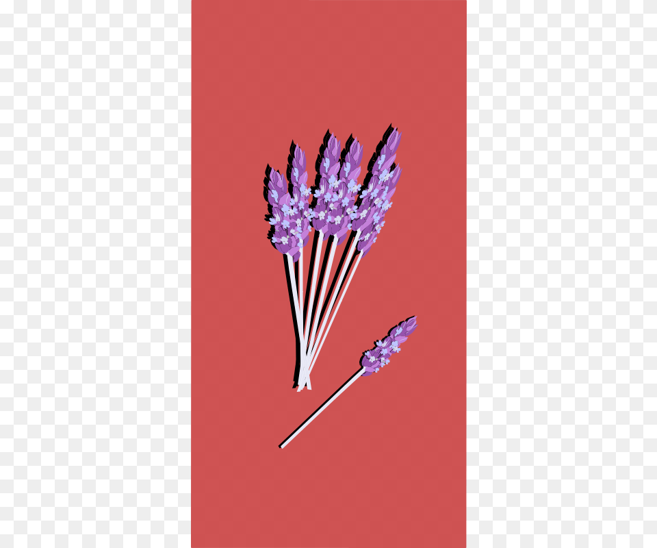 Clipart Lavender03 Tulip, Flower, Plant, Purple, Lavender Free Png Download