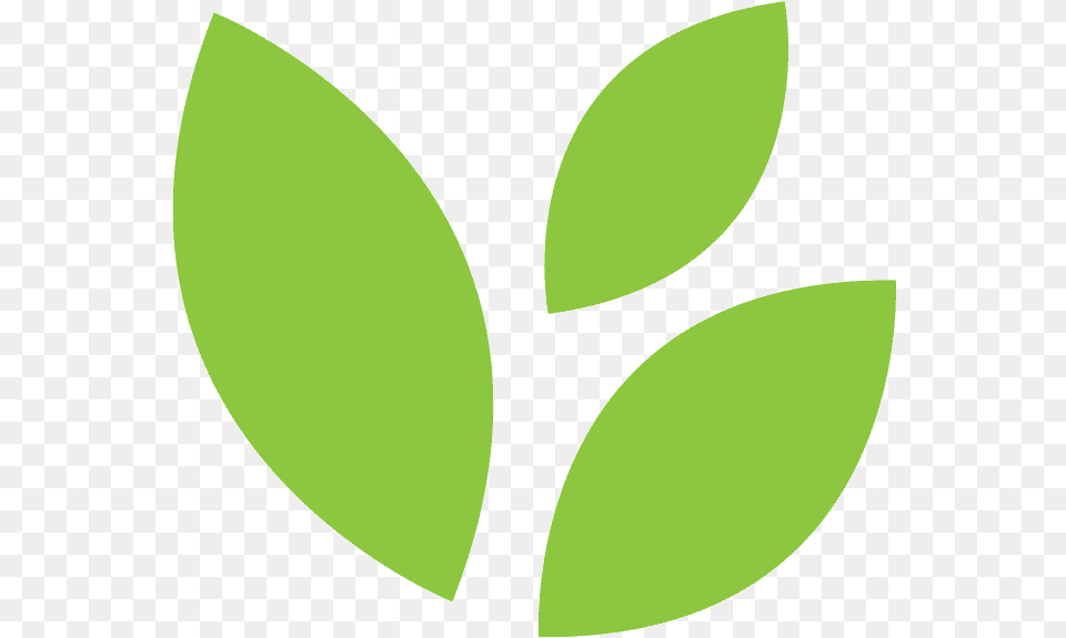 Clipart Leaf 0 0 Rainforest Journey Life Science Leaf Minimal, Green, Plant, Herbal, Herbs Free Transparent Png