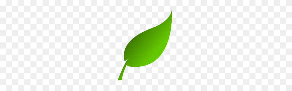 Clipart Leaf, Sprout, Bud, Flower, Green Free Transparent Png