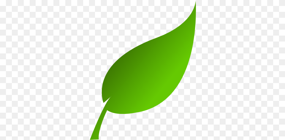 Clipart Leaf, Green, Plant, Astronomy, Moon Free Png