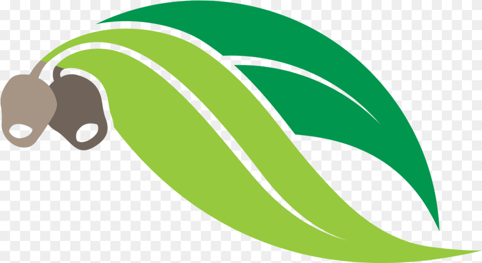 Clipart Leaf Logo Transparent For Gum Leaves Clip Art, Green, Food, Fruit, Plant Free Png Download