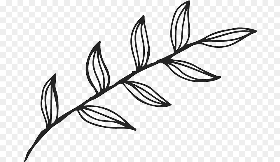 Clipart Leaf Outline Black And White, Plant, Art, Pattern Free Png Download