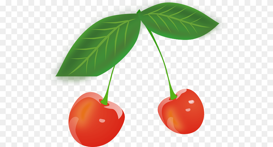 Clipart Leaf Pipal Cherry Leaves Clipart, Food, Fruit, Plant, Produce Free Png