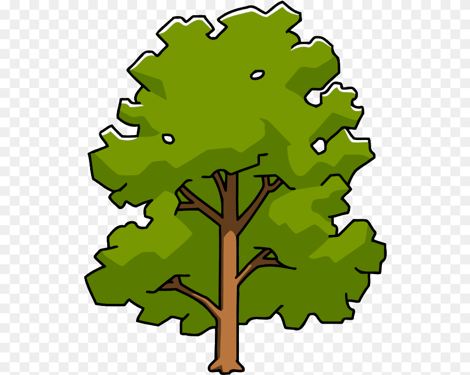 Clipart Leaf Sycamore Tree Sycamore Tree Clipart, Oak, Plant, Green, Vegetation Png Image