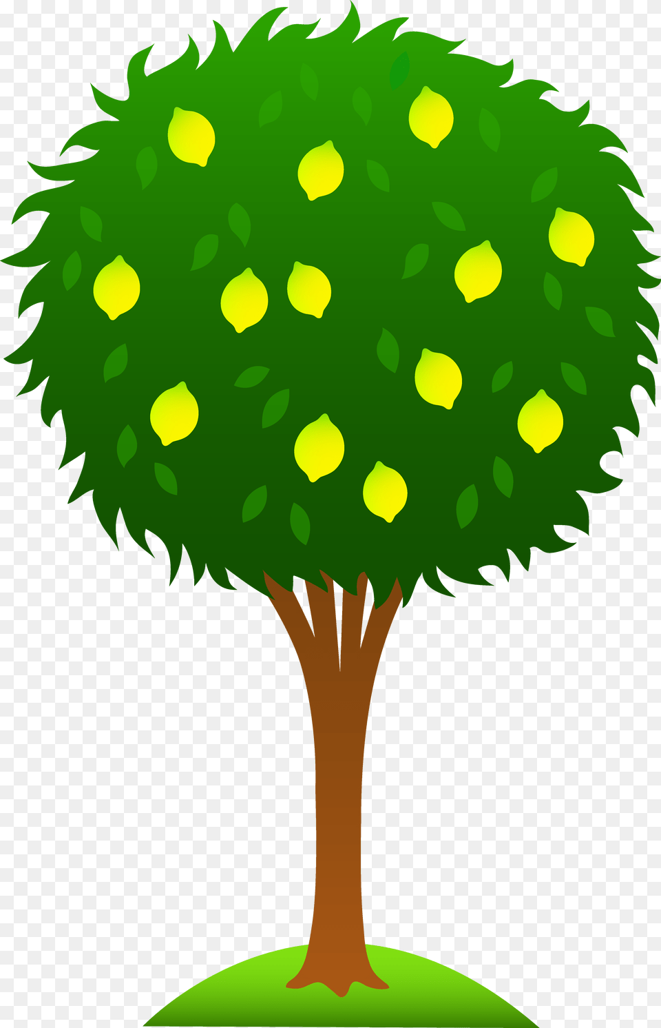 Clipart Lemon Tree Carto Clip Art, Vegetation, Plant, Green, Oak Free Png