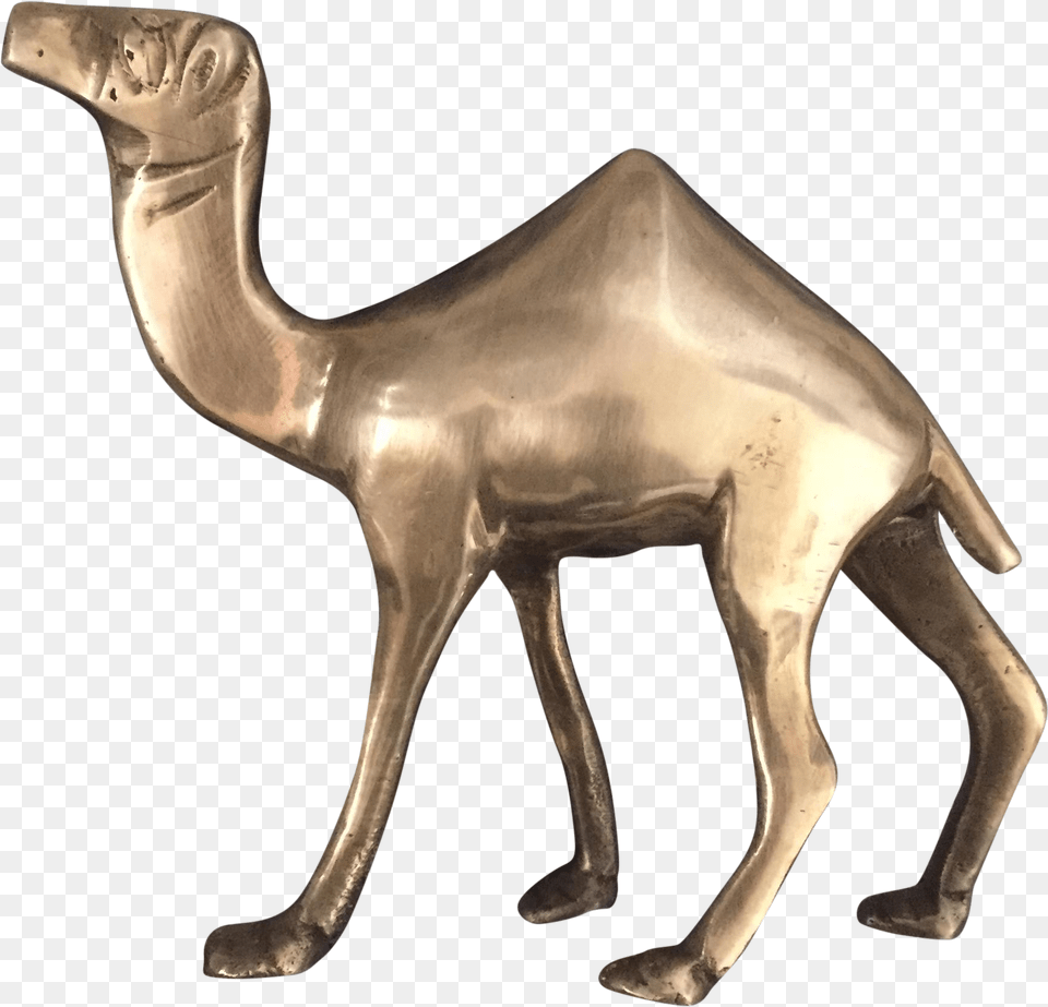 Clipart Library Brass Camel Figurine Statue Arabian Camel, Animal, Mammal Free Transparent Png
