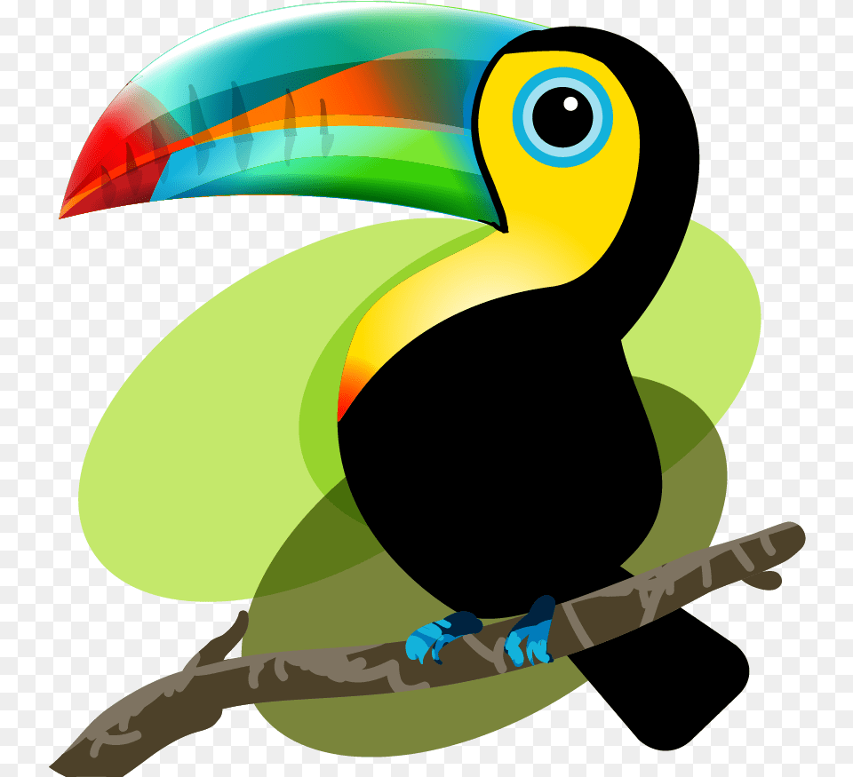 Clipart Library Iquitos Bird Mama And Tucan, Animal, Beak, Toucan, Fish Png