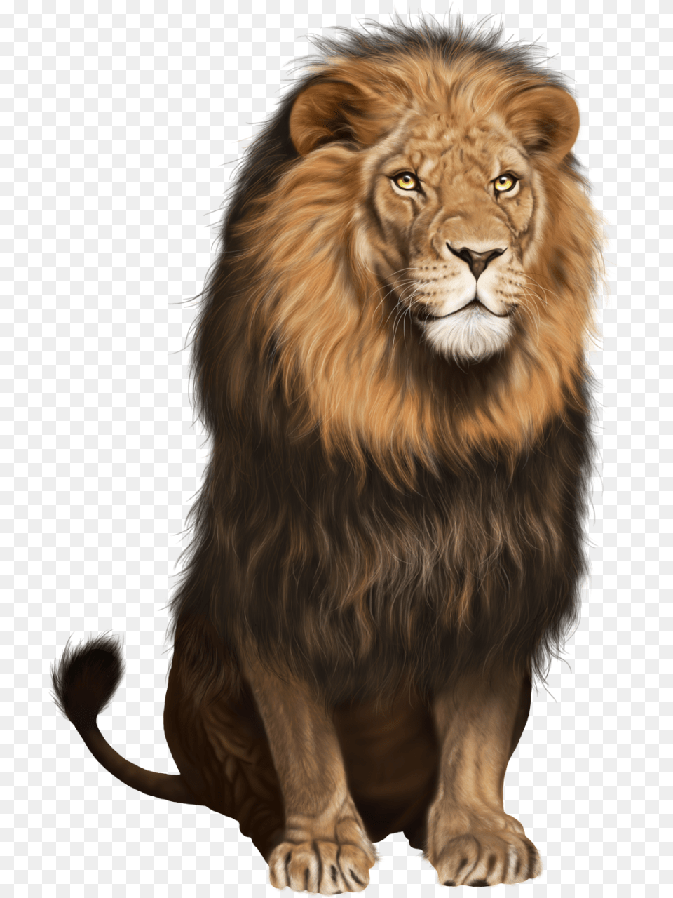 Clipart Lion Background Animal Images Hd, Mammal, Wildlife Free Transparent Png