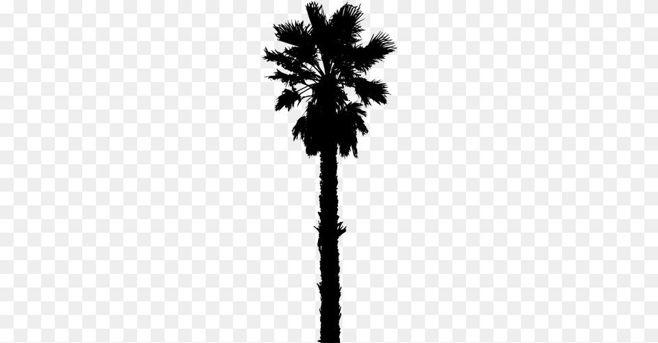 Clipart Live Oak Tree Silhouette California Palm Tree Vector, Gray Png