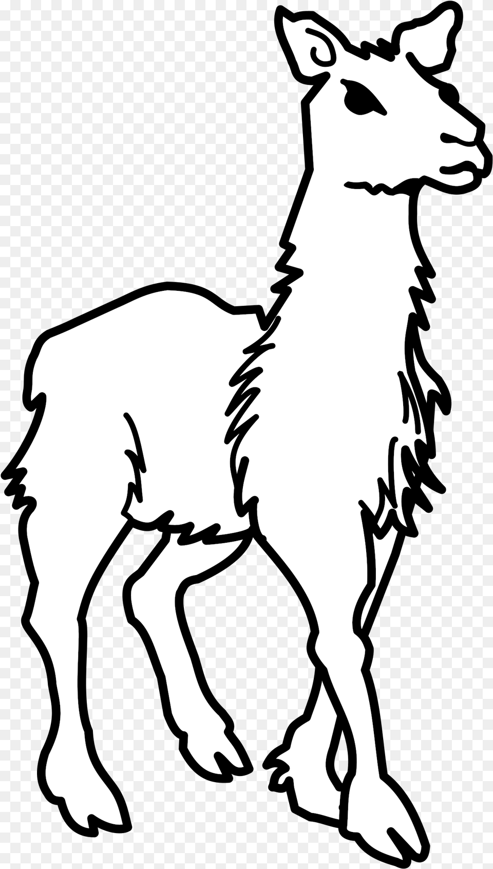 Clipart Llama Lineart Llama Black And White, Stencil, Silhouette, Person, Animal Png Image