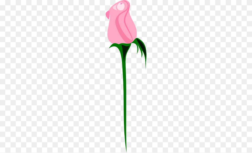 Clipart Long Stem Roses Clip Art Images, Flower, Plant, Rose, Petal Png Image