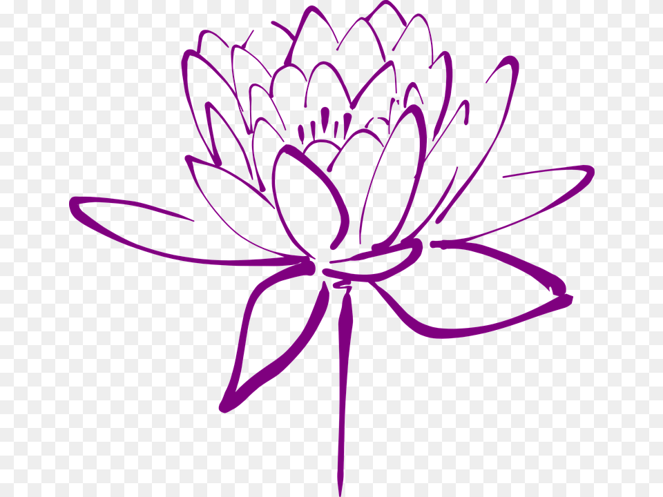 Clipart Lotus Flower Purple, Dahlia, Plant Free Png Download