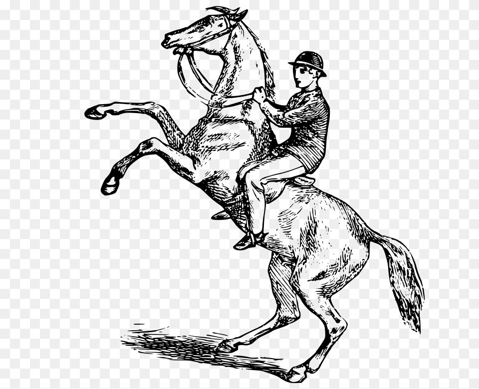 Clipart Man Riding A Rearing Horse, Gray Png