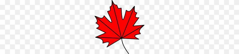 Clipart Maple Leaf, Maple Leaf, Plant, Tree, Dynamite Free Png