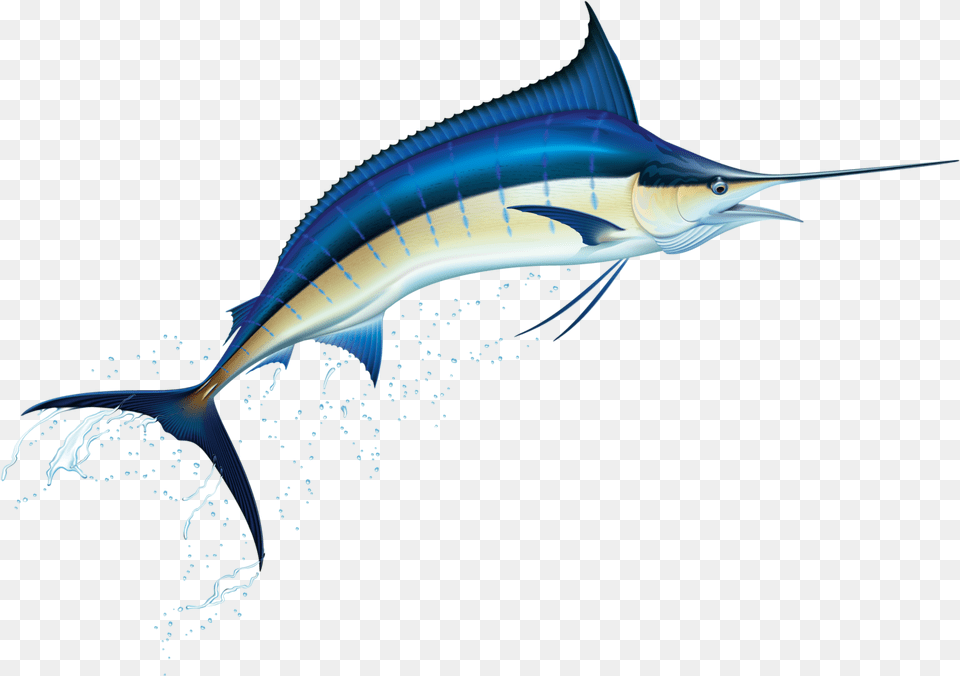 Clipart Marlin, Animal, Sea Life, Fish, Swordfish Free Png