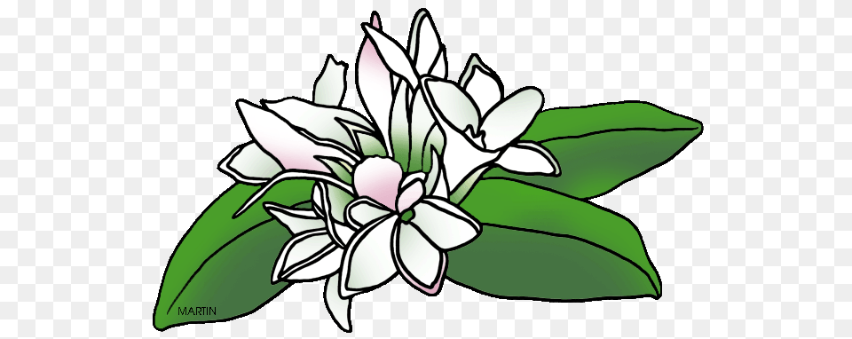 Clipart May Flower, Plant, Leaf, Animal, Fish Png Image