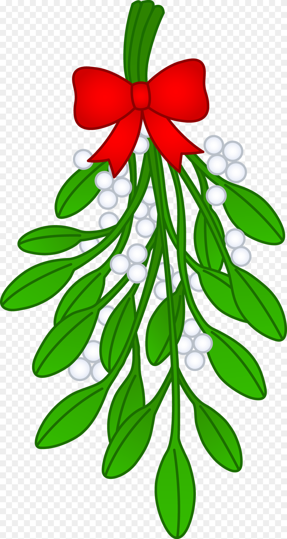 Clipart Mistletoe, Leaf, Plant, Herbal, Herbs Png