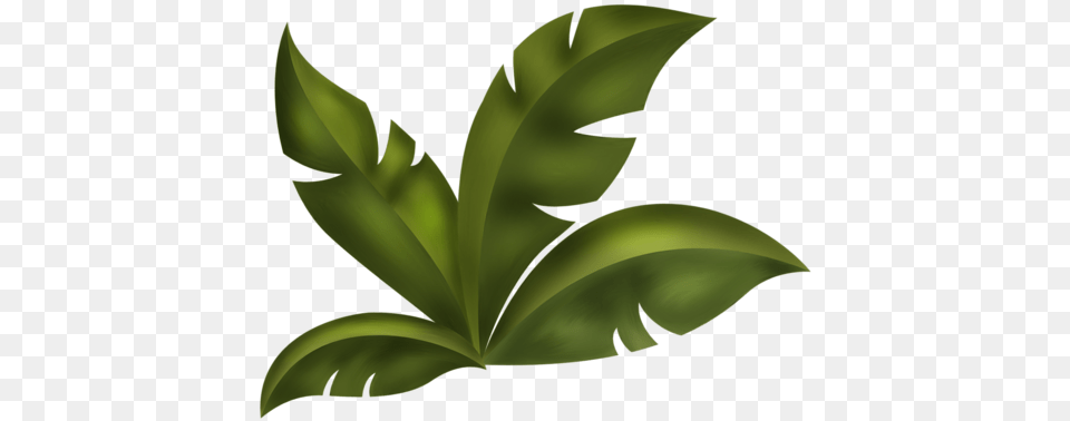 Clipart Mix, Leaf, Plant, Green, Animal Png