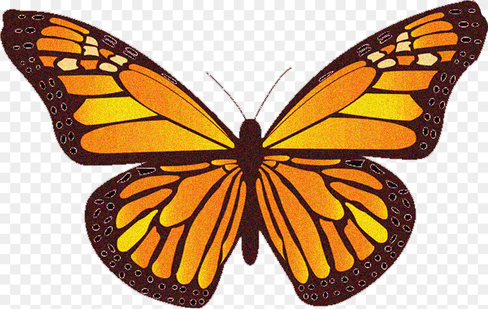 Clipart Monarch Butterfly, Animal, Insect, Invertebrate Png Image
