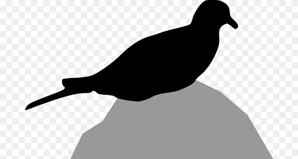 Clipart Mourning Dove Mazeo, Silhouette, Photography, Formal Wear Free Png